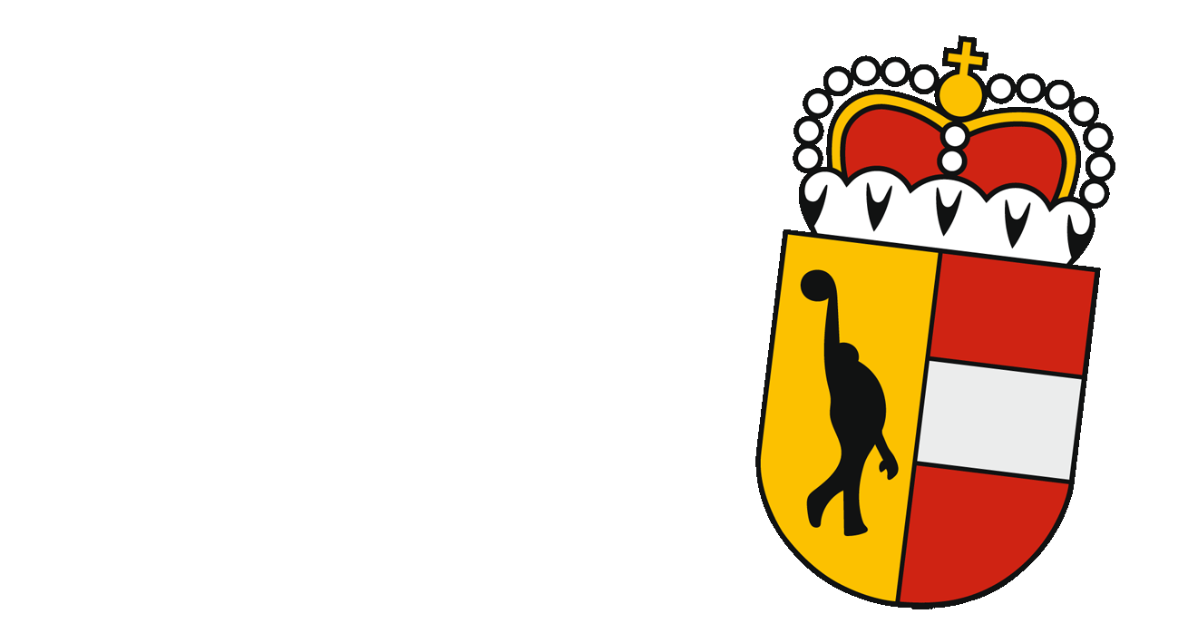 LVSB